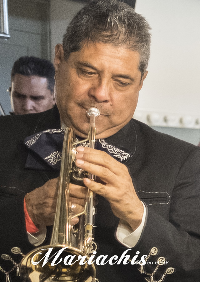 Contratación de mariachis en Barrio del Niño Jesús, Coyoacán