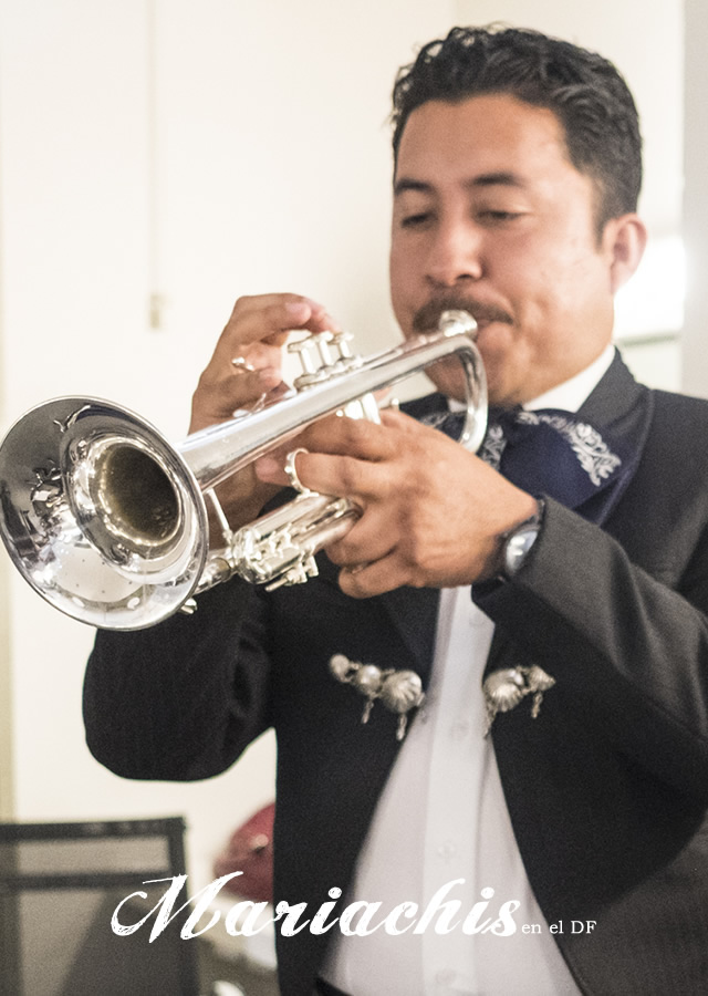 contratación de mariachis en Lomas Lindas 