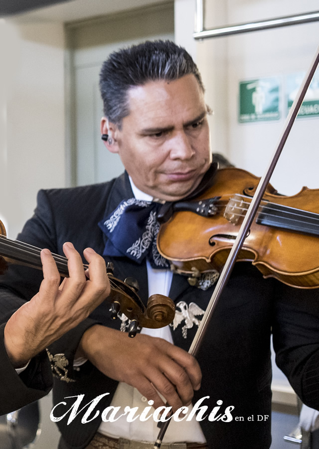 contratación de mariachis en San Mateo Tecoloapan 