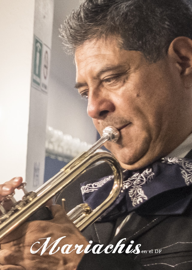 contratación de mariachis en Villas de la Hacienda 